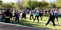 Support for Health: Grants