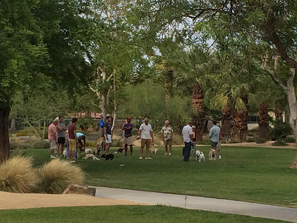 dog_park dog_park