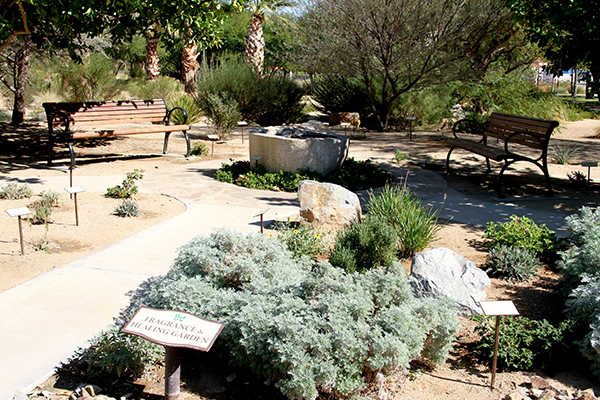 wellness_park_3 wellness_park_3